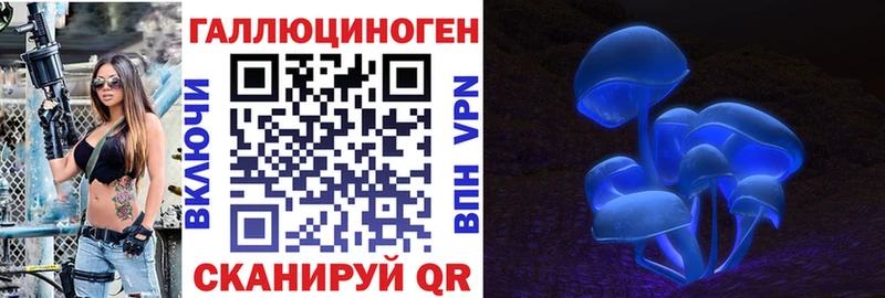 Псилоцибиновые грибы Psilocybe Ахтубинск
